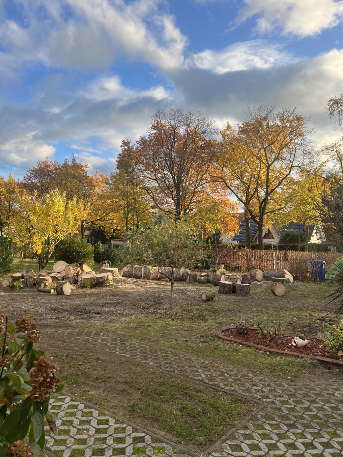 Privatgarten während der Umgestaltung, Leistungen aus einer Hand
