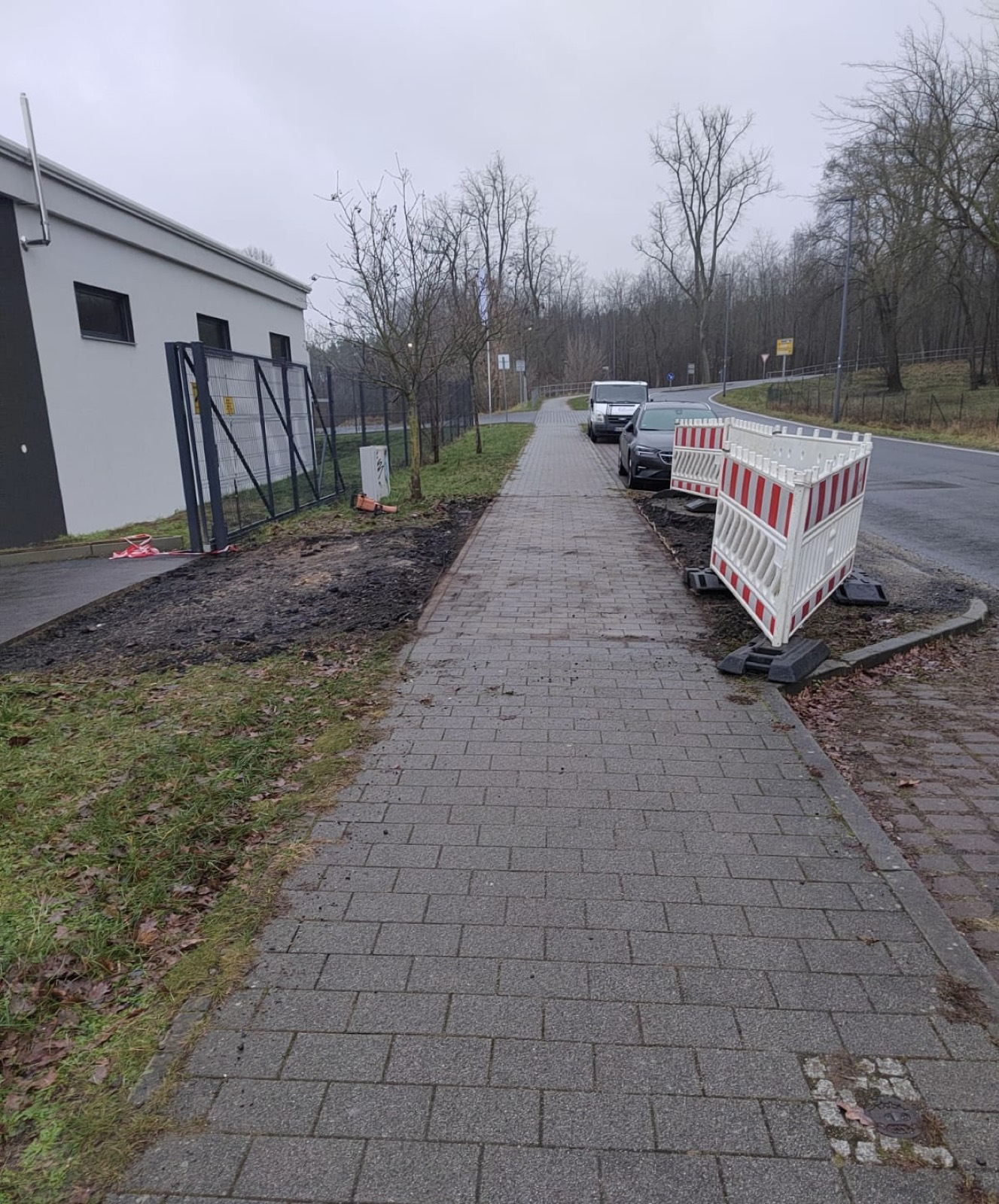 Gepflasterter Gehweg mit schmalem, gleichmäßigem Fugenbild