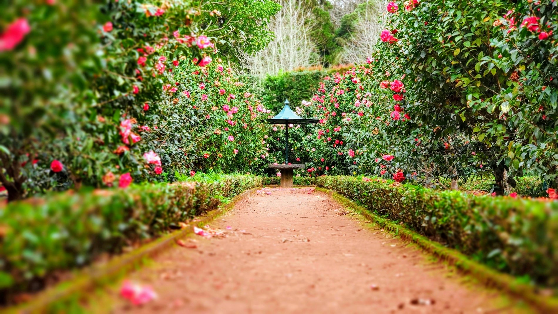 Angelegte Gartenanlage